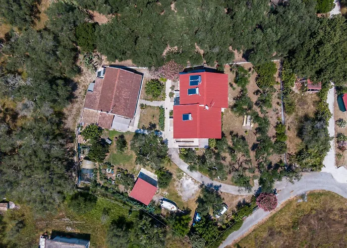 Apartament Garden View Poseidonas *