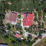 شقة Garden View Poseidonas